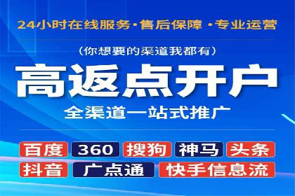 案例研究：SEM代运营服务公司的创新策略